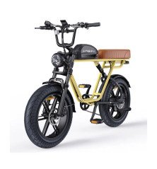 ENGWE M1 Bicicleta Eléctrica 48V 28.6Ah | Autonomía 170 km