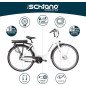 Bicicleta eléctrica urbana F.lli Schiano E-Moon 28″