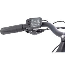 F.lli Schiano E-Moon 28 Bicicleta Eléctrica Urbana 250W con Autonomía hasta 100 km