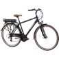 Bicicleta eléctrica urbana F.lli Schiano E-Moon 28″