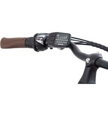 F.lli Schiano E-Moon 28 Bicicleta Eléctrica Urbana 250W con Autonomía hasta 100 km