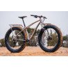 Fat bikes